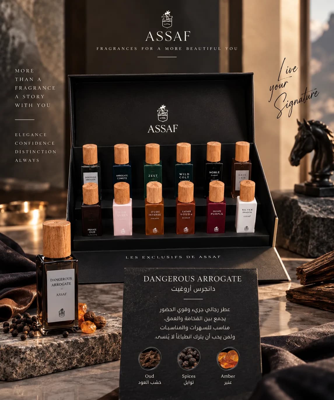 وصف للبكج باكج ASSAF – Les Exclusifs de Assaf ✨